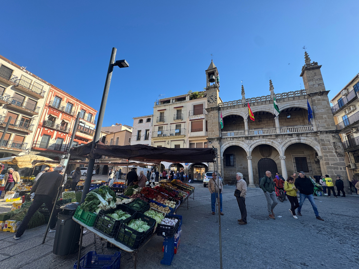 Справа - здание мэрии Пласенсии. У него очень интересные часы с человечком в зеленом камзоле, который снаружи взобрался на башню и бьет в колокол каждый час