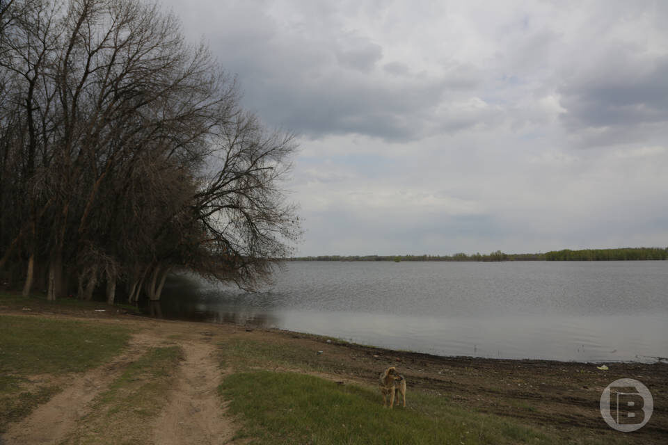    Фото: Дмитрий Рогулин / "Городские вести"