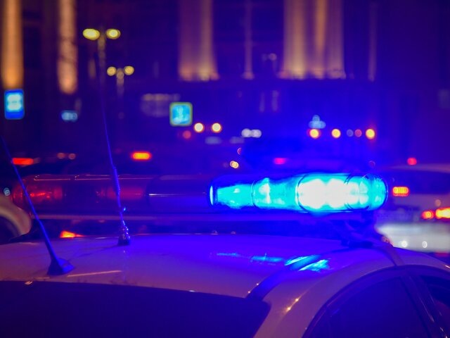    Фото: Москва 24/Антон Великжанин