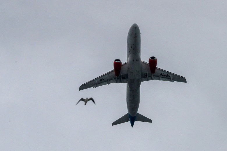    Сергей Петров/NEWS.ru