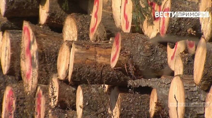    Источник фото: