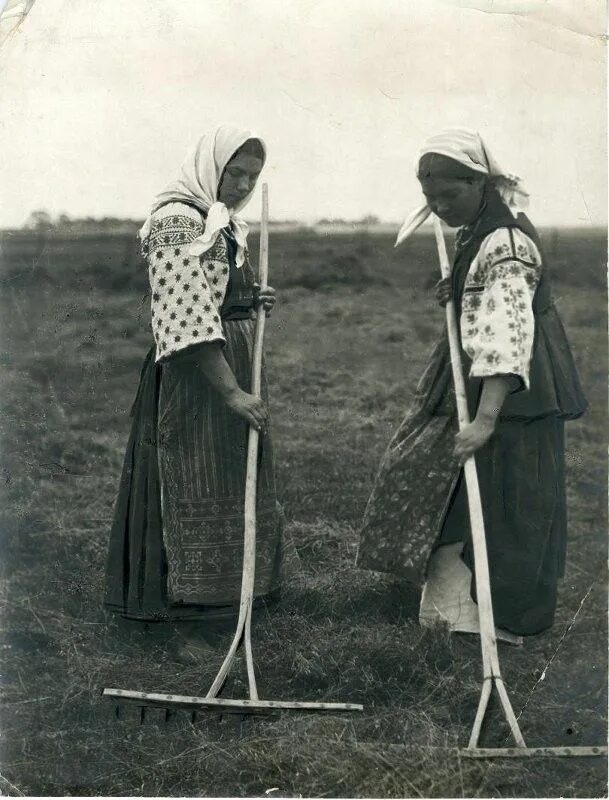 Взято из открытых источников интернета Яндекс.