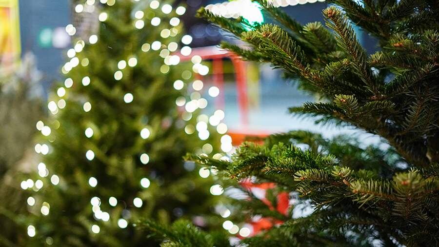    Фото: ИЗВЕСТИЯ/Сергей Лантюхов