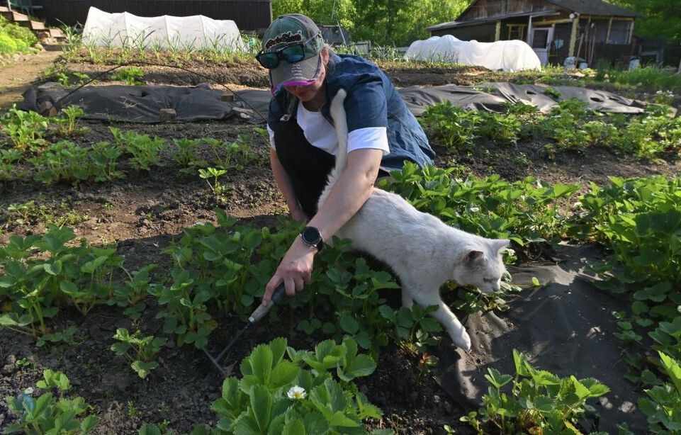    РИА «Новости»