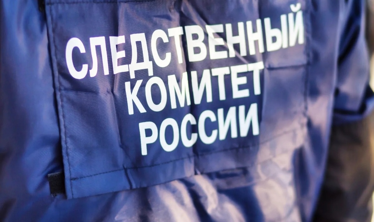    Следственный комитет