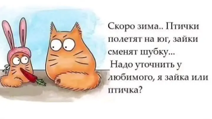 анекдоты про семейные ценности