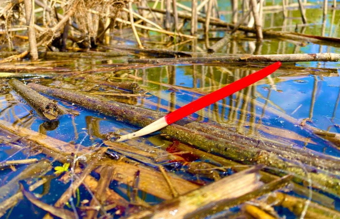 Апрельская поплавочная удочка на реке: стратегия успеха