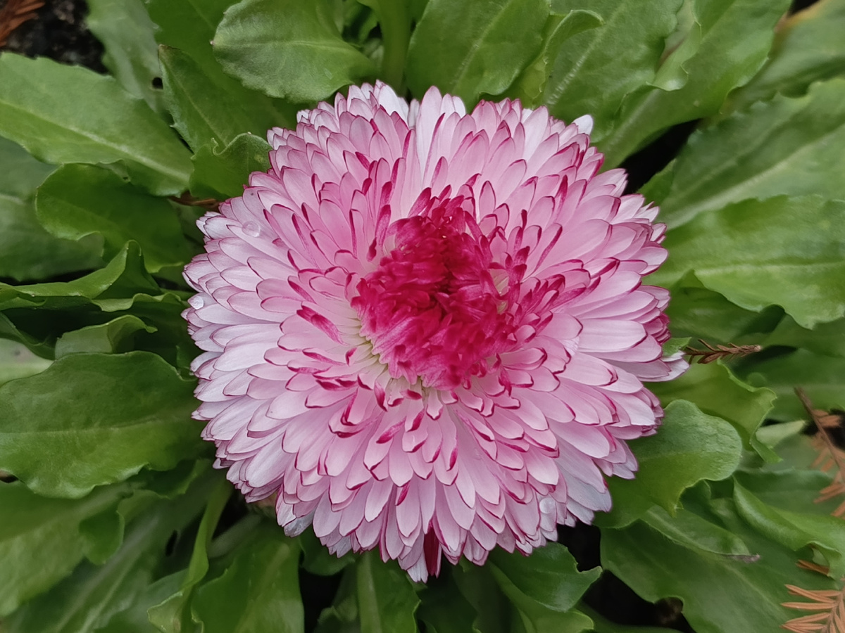 Адлер, март 2026 года