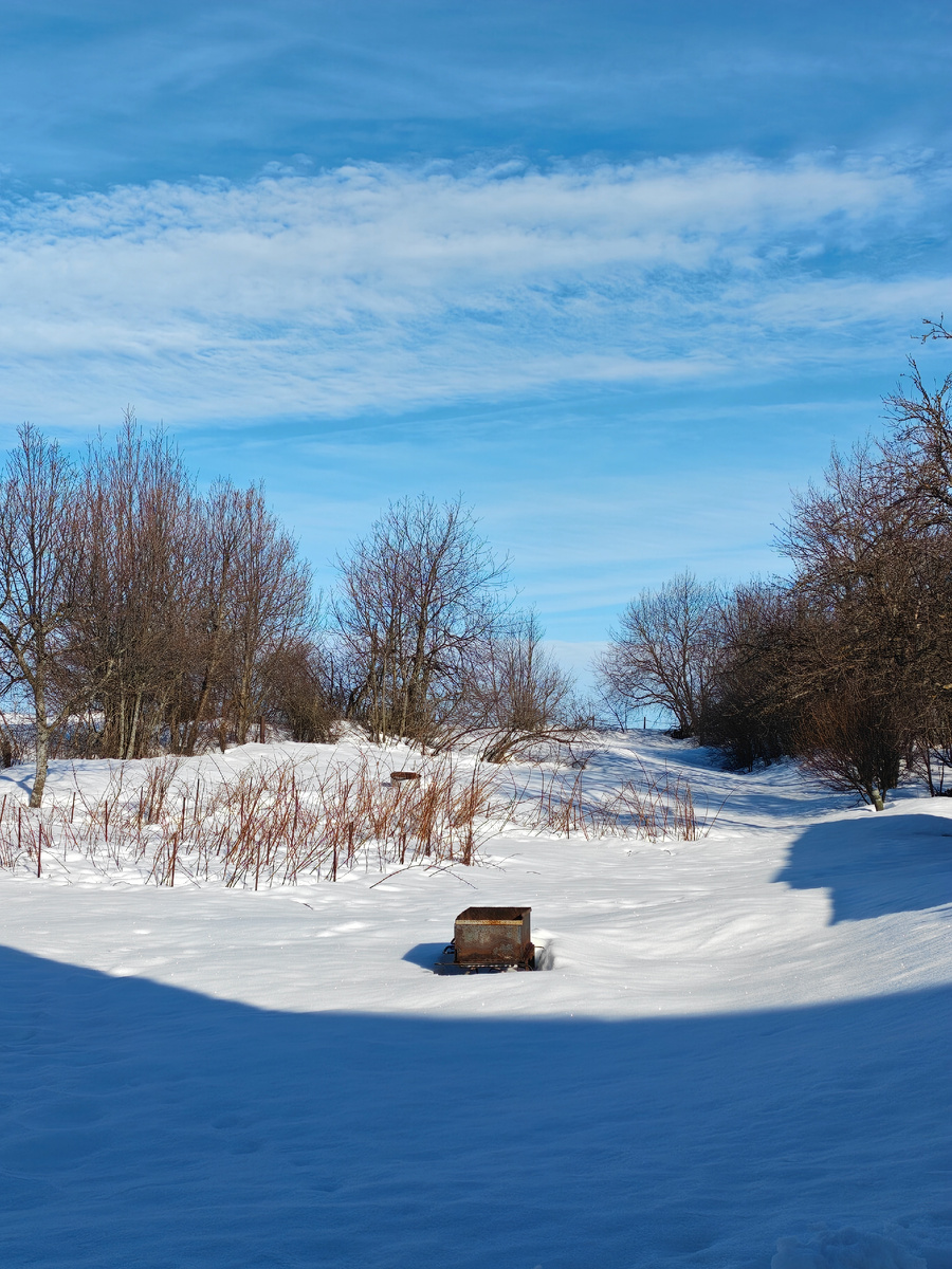 В другую сторону посмотрела...Фото автора