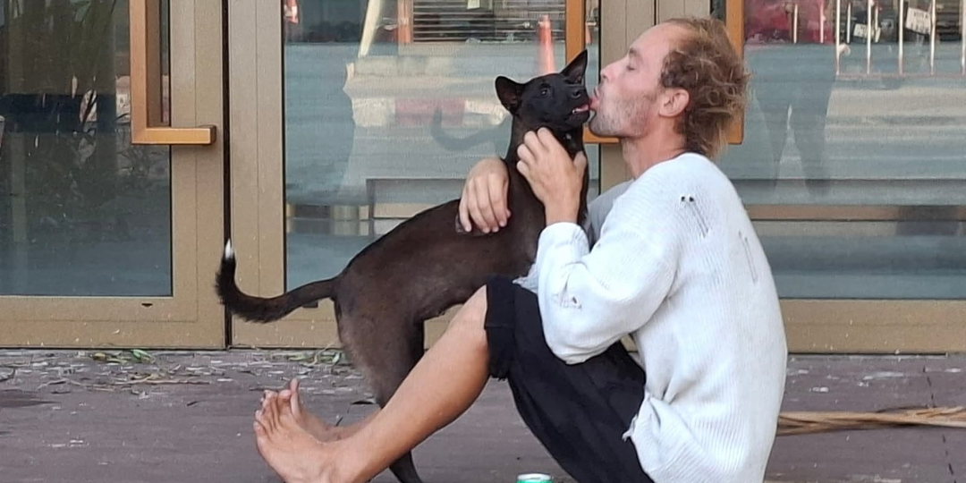 ДВУХ ЧЕРНЫХ ЩЕНКОВ ТРАВЯТ ПОСЛЕ АРЕСТА ХОЗЯИНА