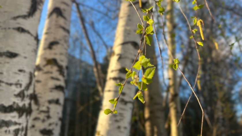    Фотоархив редакции