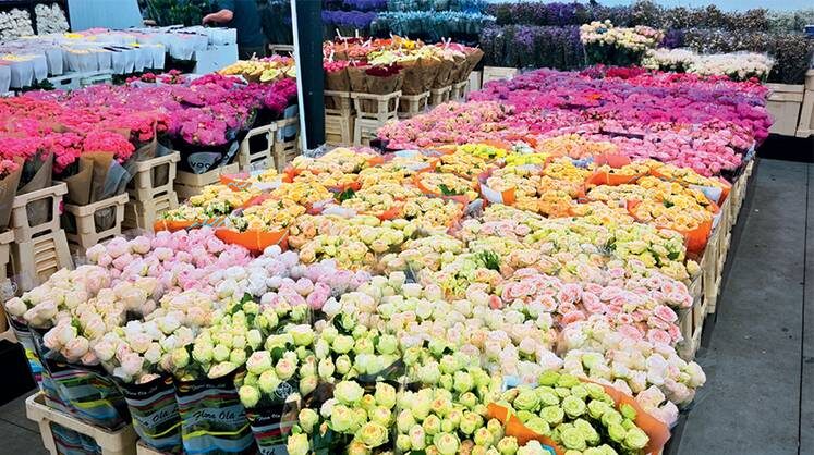    предоставлено маркетплейсом Flowwow В новом формате работают 27 магазинов Flowwow: в Москве, Санкт-Петербурге, Екатеринбурге, Челябинске, Краснодаре и Нижнем Новгороде