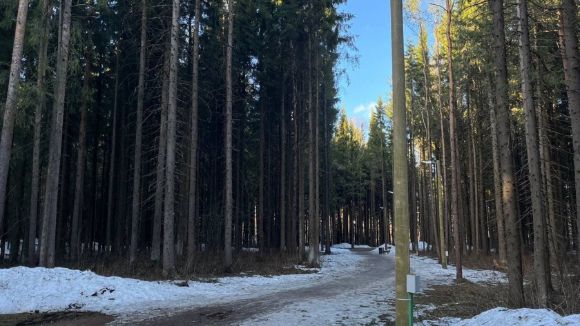    Фотоархив редакции