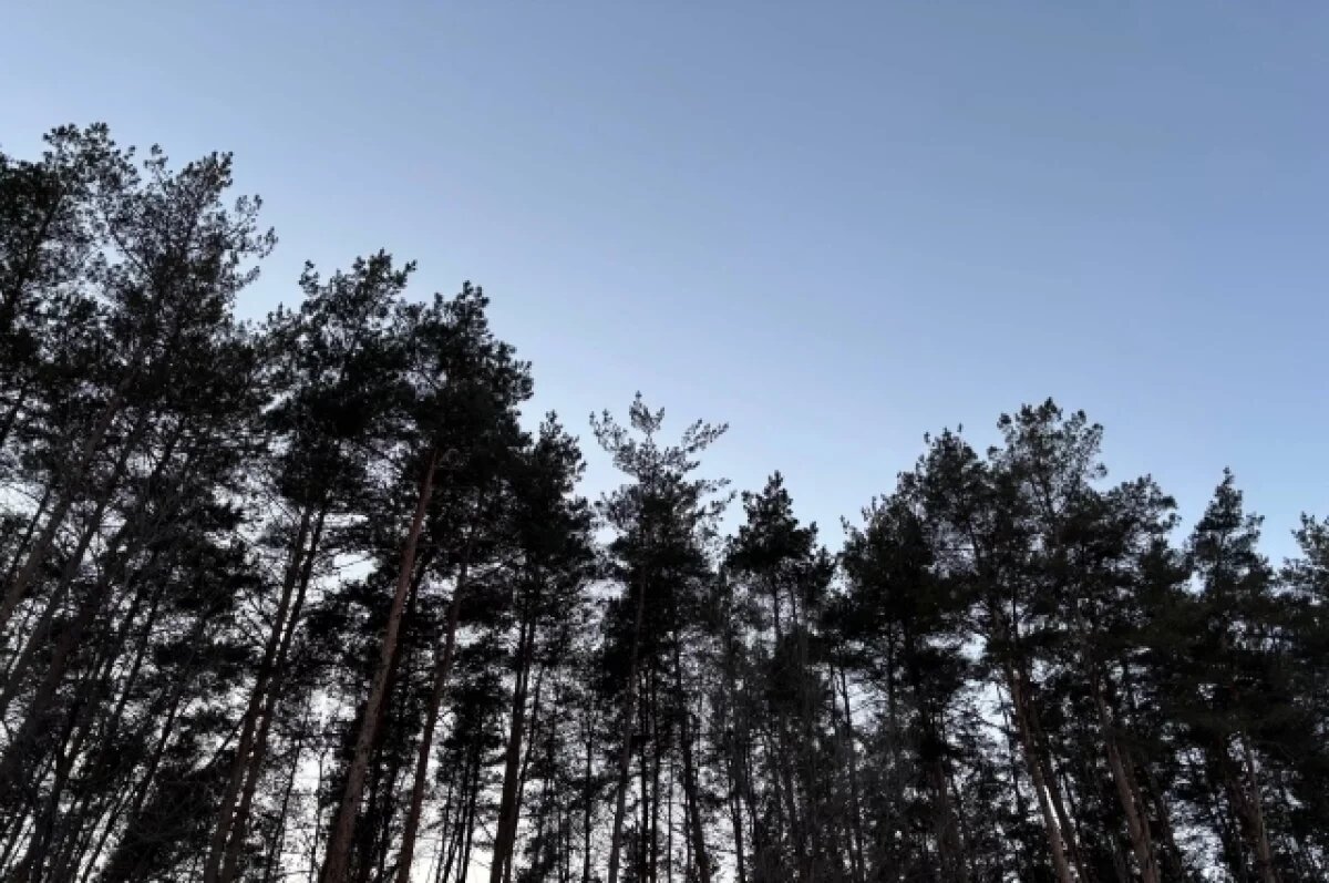    В Ханты-Мансийске открыли выставку к 50-летию заповедника «Малая Сосьва»