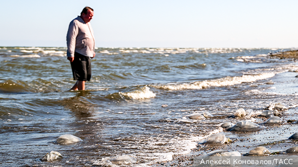     Фото: Алексей Коновалов/ТАСС   
 Текст: Антон Антонов