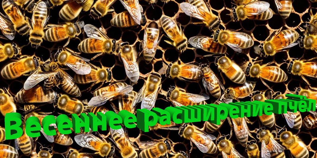 Профессор Кашковский про весеннее расширение гнезда