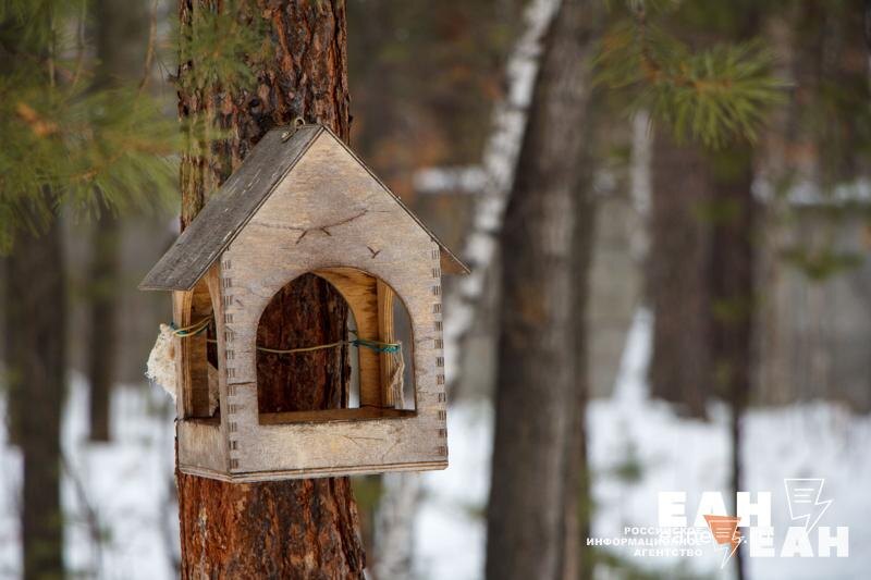    Фото ЕАН. Деревянная кормушка