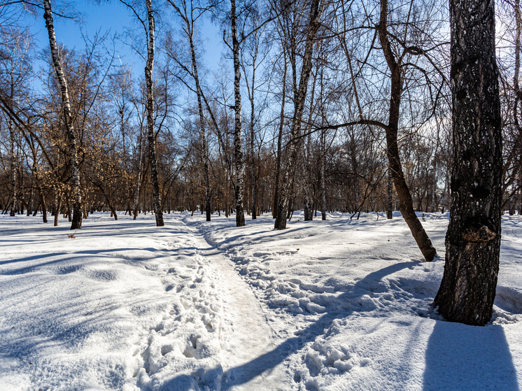     Фото: Сиб.фм