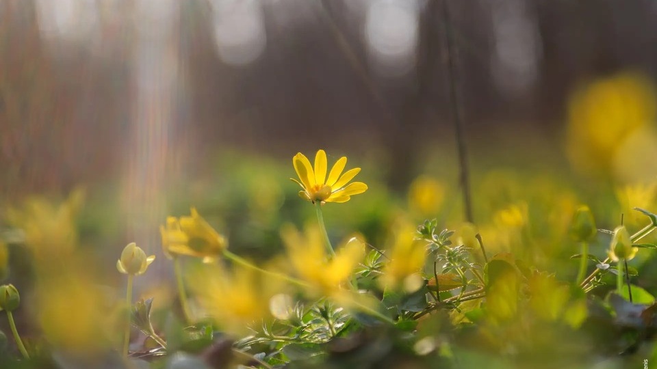 От +4 до +14 и ветер: Какой будет погода в Ростове-на-Дону 23 марта
