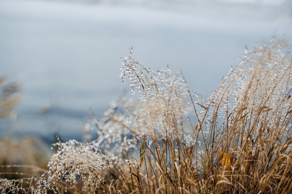   В России март 2026 года может стать самым солнечным за всю историю