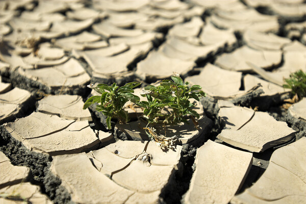 Oliver Gerhard/imageBROKER.com/Global Look Press   📷