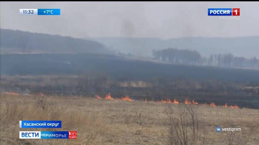    Источник фото: