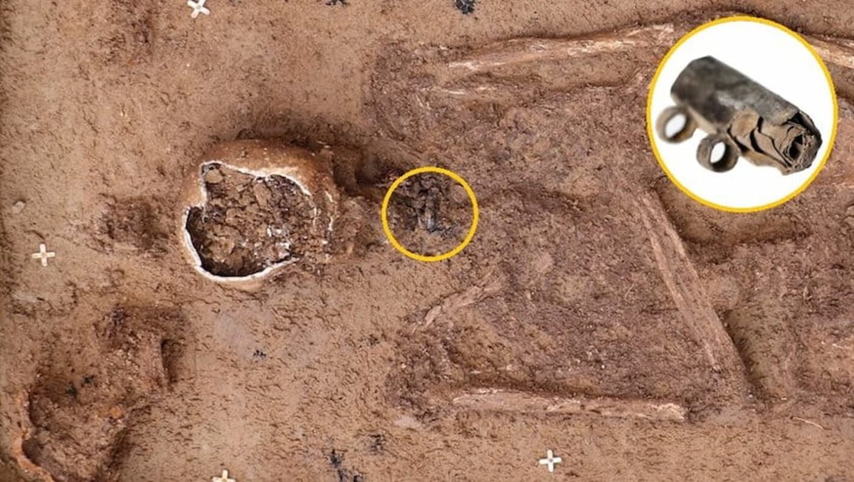 Изображение взято с сайта https://new-science.ru/wp-content/uploads/2024/12/85-16-scaled.jpg