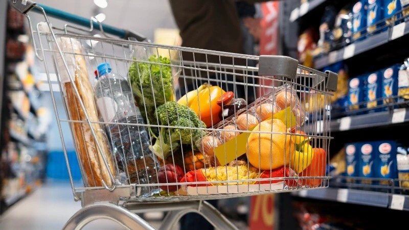      Фото: @freepik / ru.freepik.com