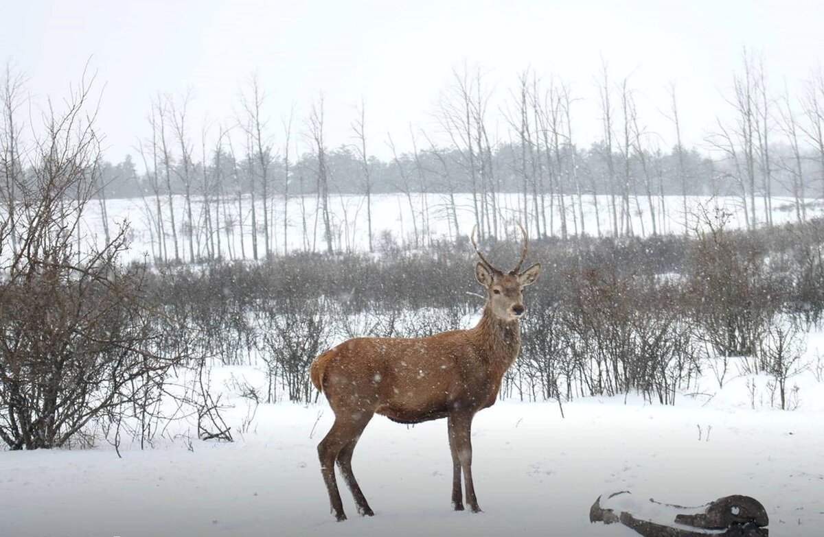    Фото: Минприроды Ростовской области