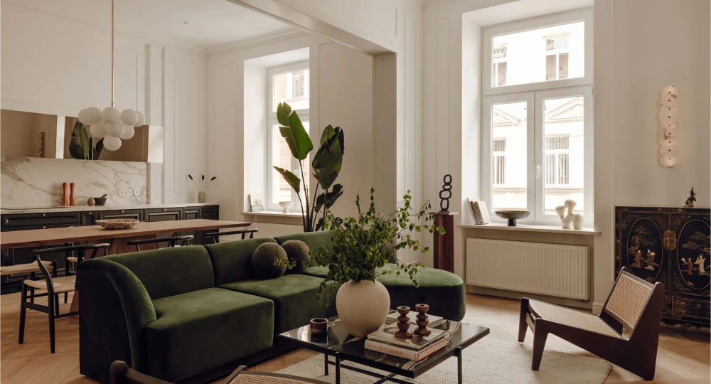 Комнатные растения, которые сложно загубить: 6 неприхотливых видов