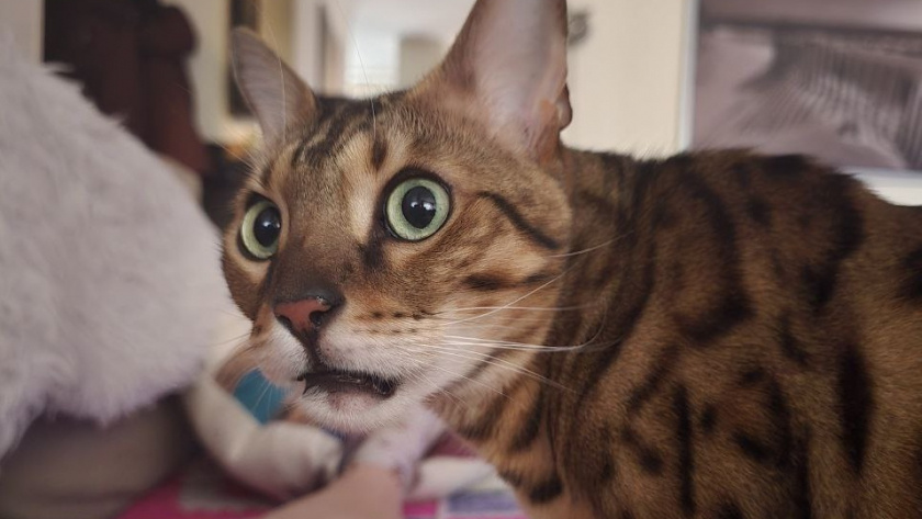    Фото Анастасии Дмитриевой