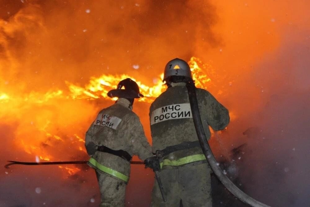    Фото: открытый источник