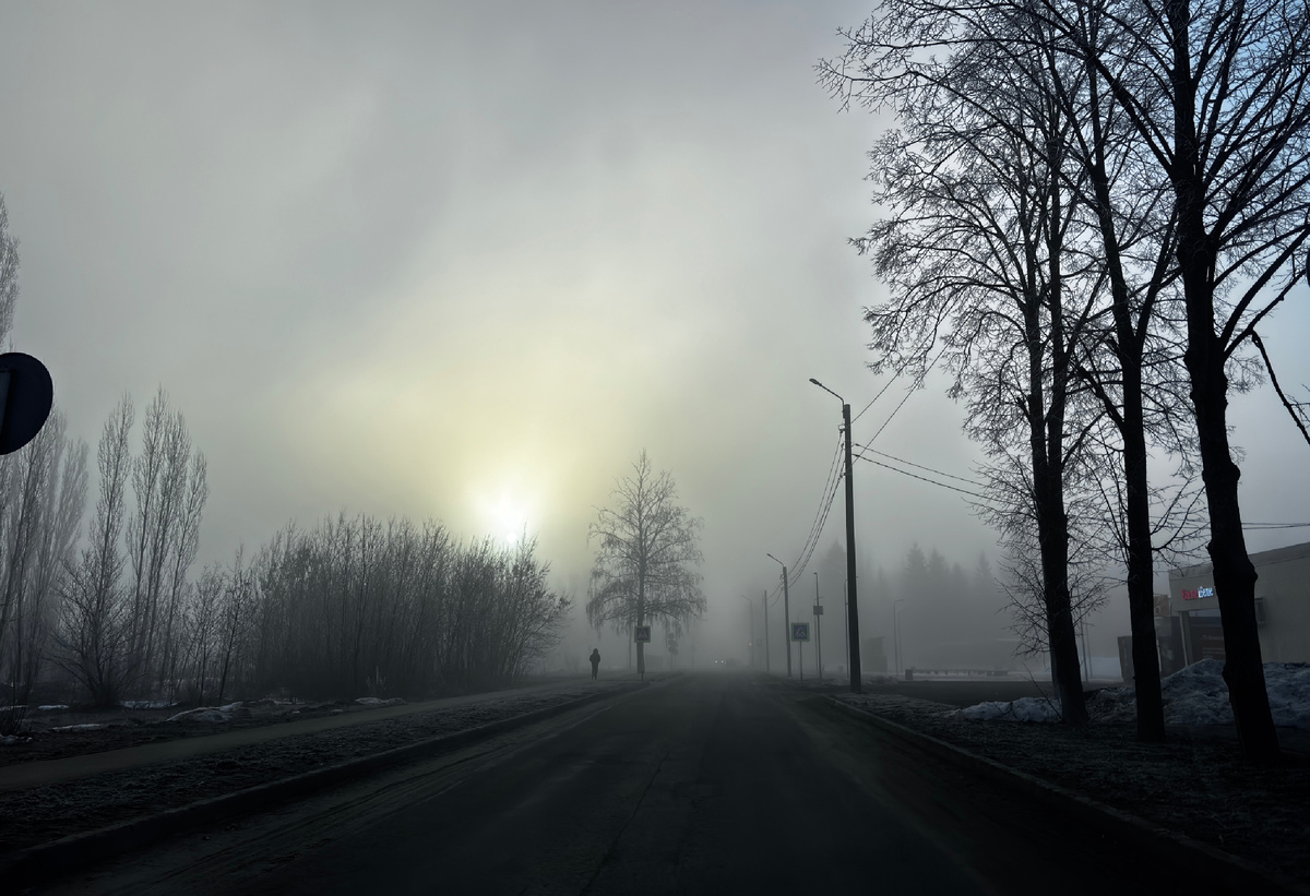 Туман ловила через окно автомобиля.