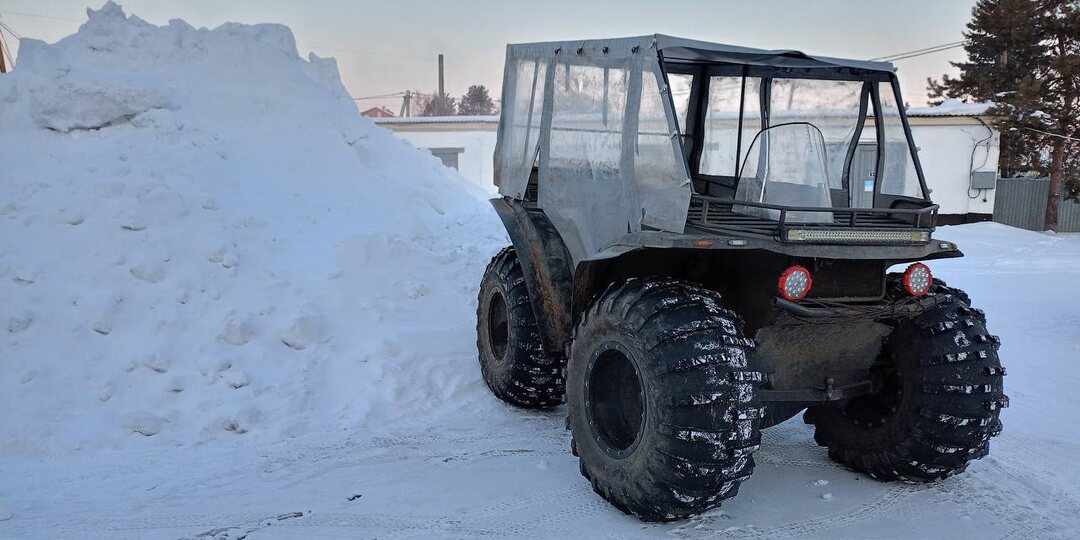 В Омский области завершили расследование дела о незаконной охоте на двух лосей