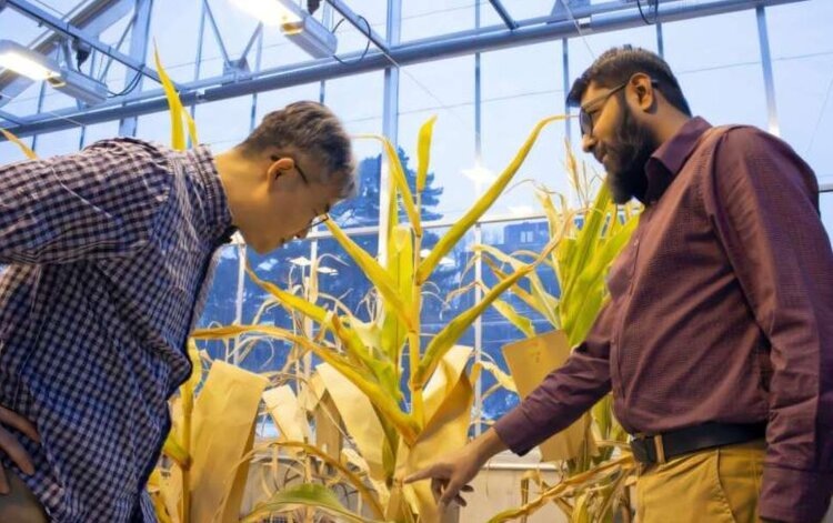    Фото: Whitney Baxter/Iowa State University