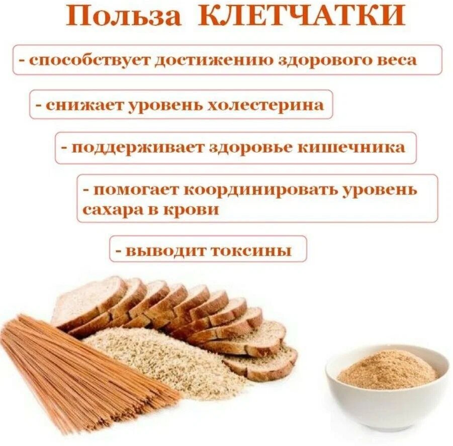 Польза клетчатки в кратции. Источник изображения: 
