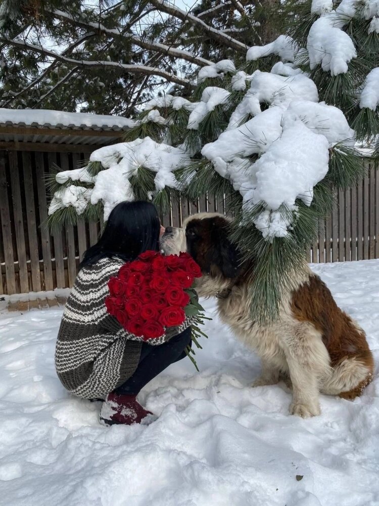   Фото: Предоставлено участником конкурса hab.aif.ru