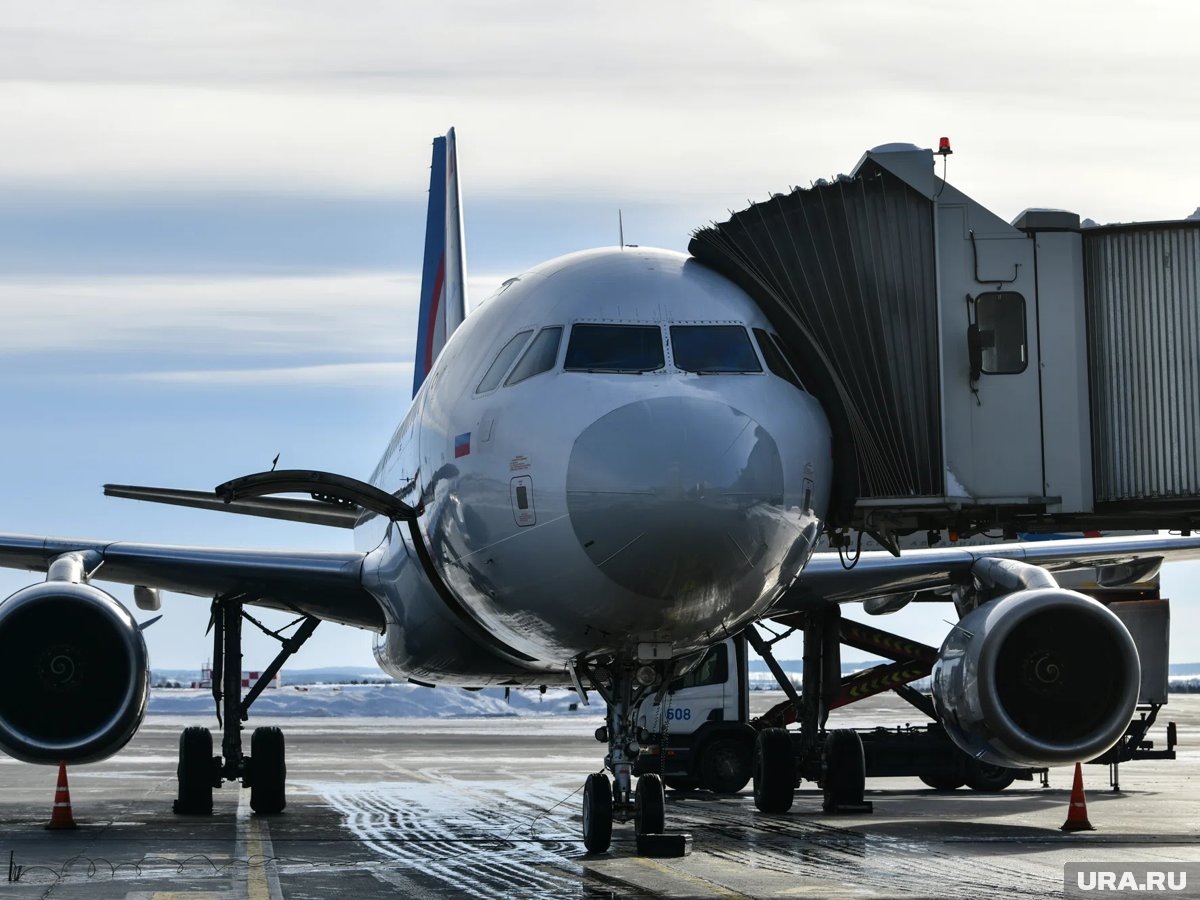     В крупных аэропортах России сообщается о задержках рейсов
