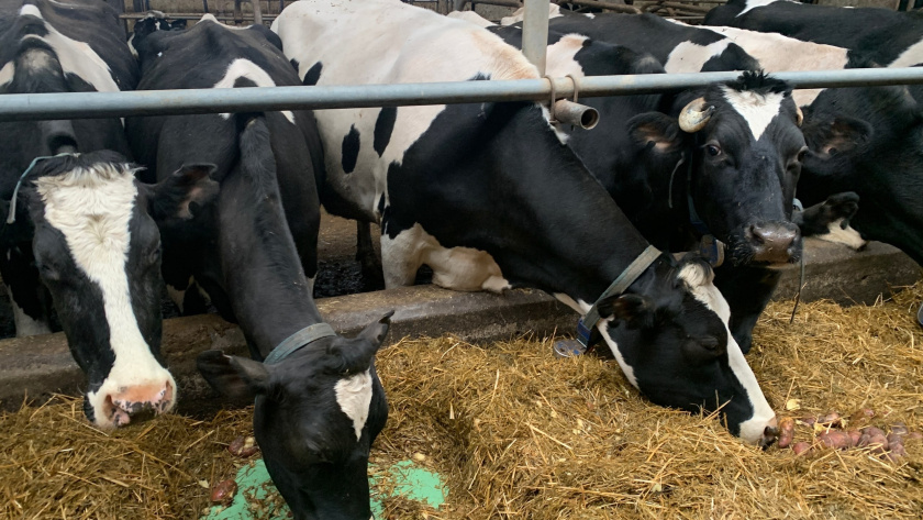    Фото: архив редакции