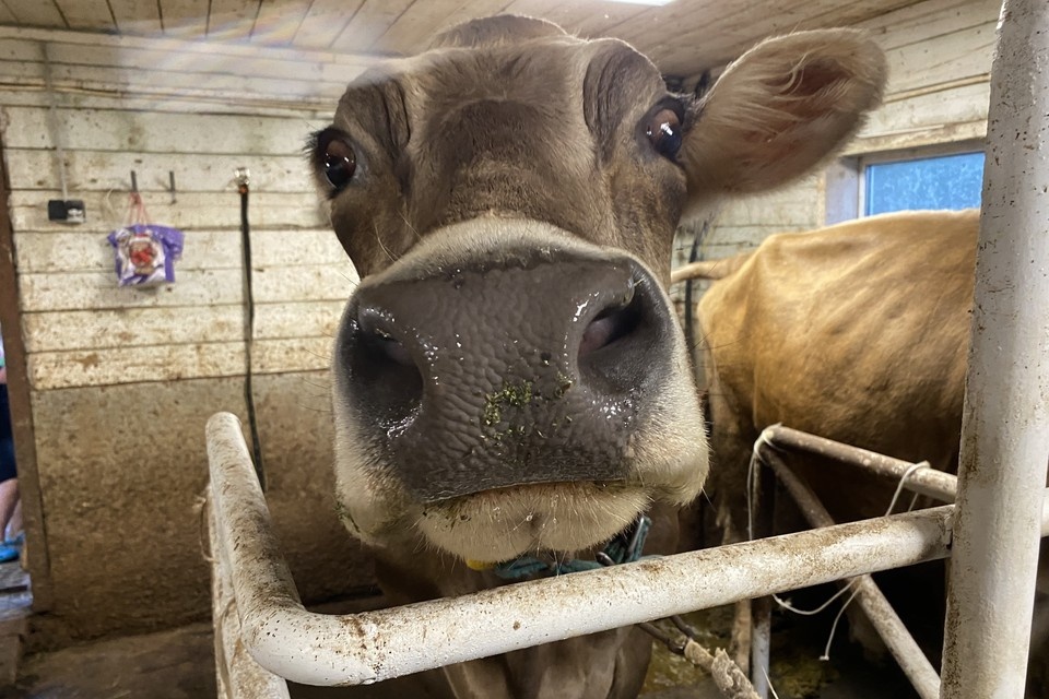    В связи с карантином на повседневную жизнь накладывается ряд ограничений Елена КРИВЯКИНА