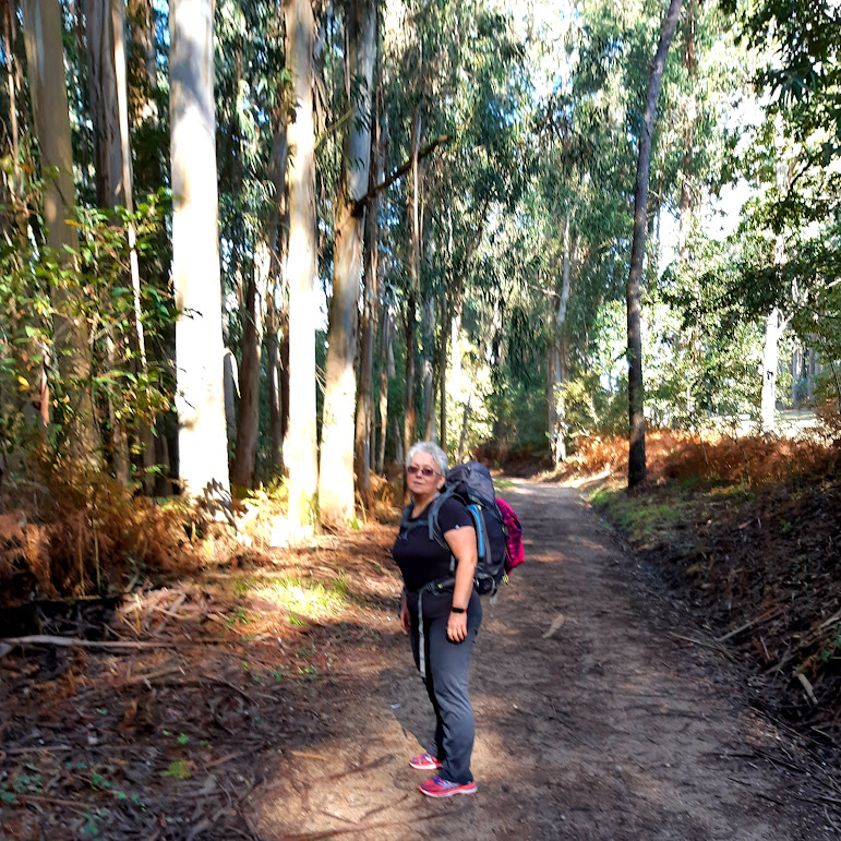 Лучшее лекарство: лесная дорога, хорошие кроссовки и тяжелый рюкзак. Лечит тело и душу