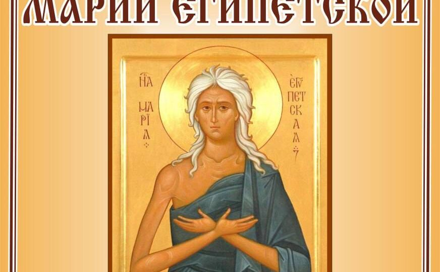 Наш канал в МАХ