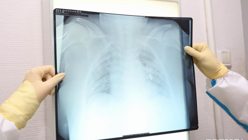    Фото с сайта vremyan.ru с сайта www.vremyan.ru