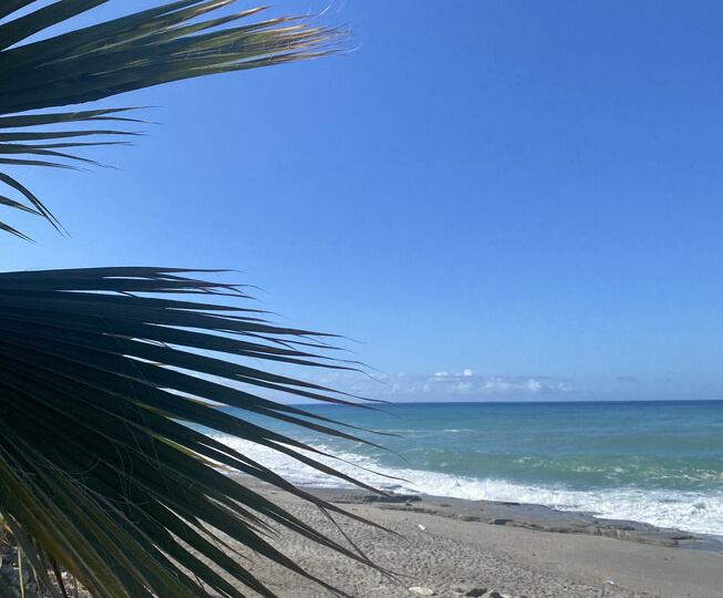 Турция в апреле. Отдых в Махмутларе. Стоит ли ехать на море — отзыв туриста с фото