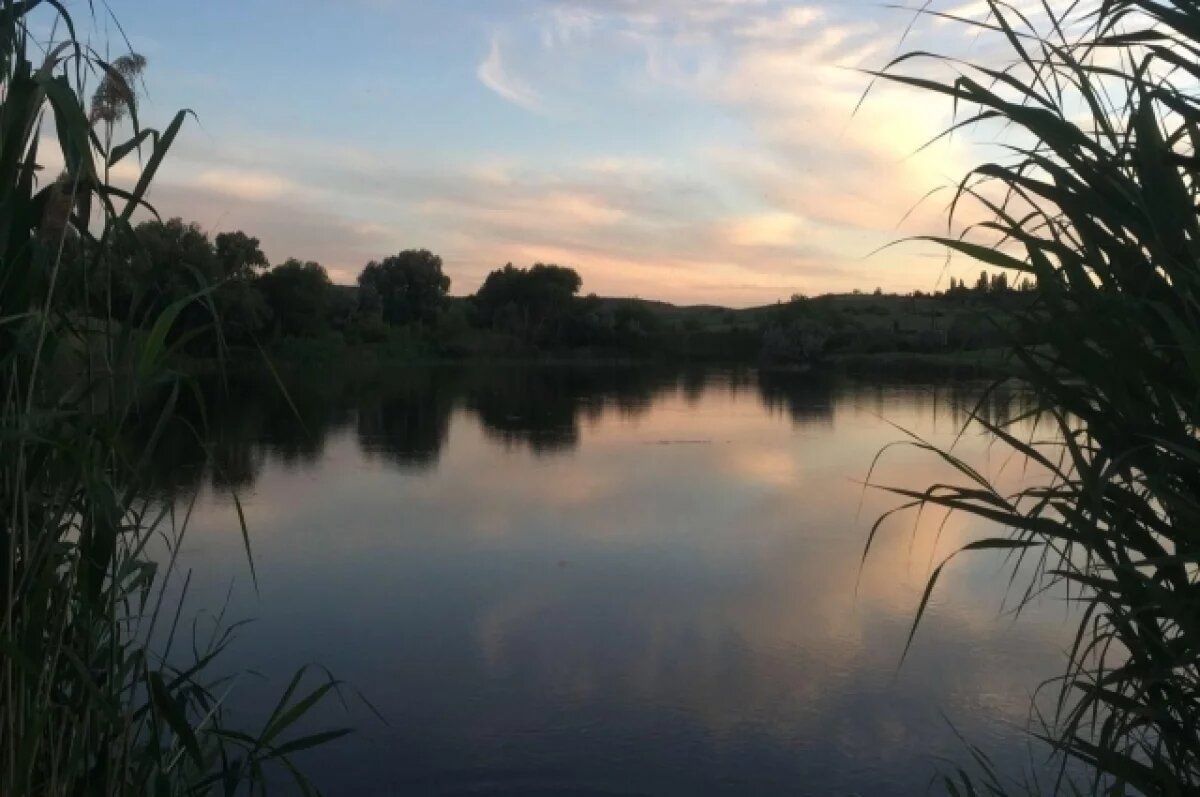    Под Саратовом продают право аренды лесного пруда с карпом и форелью