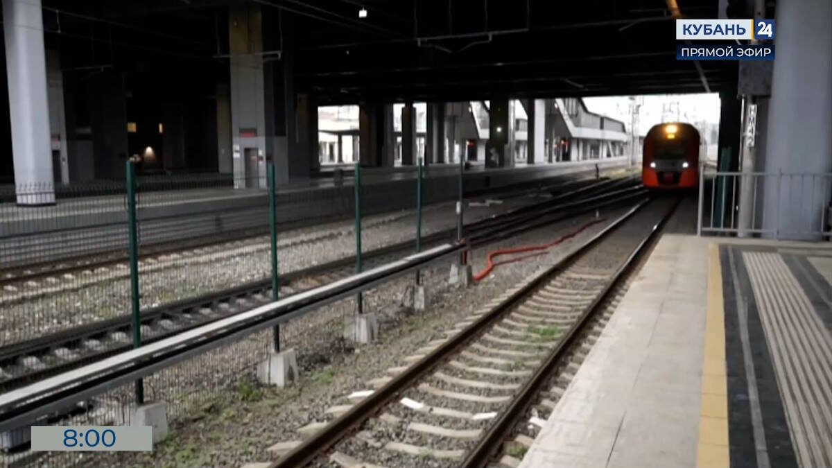    Скриншот видео телеканала «Кубань 24»