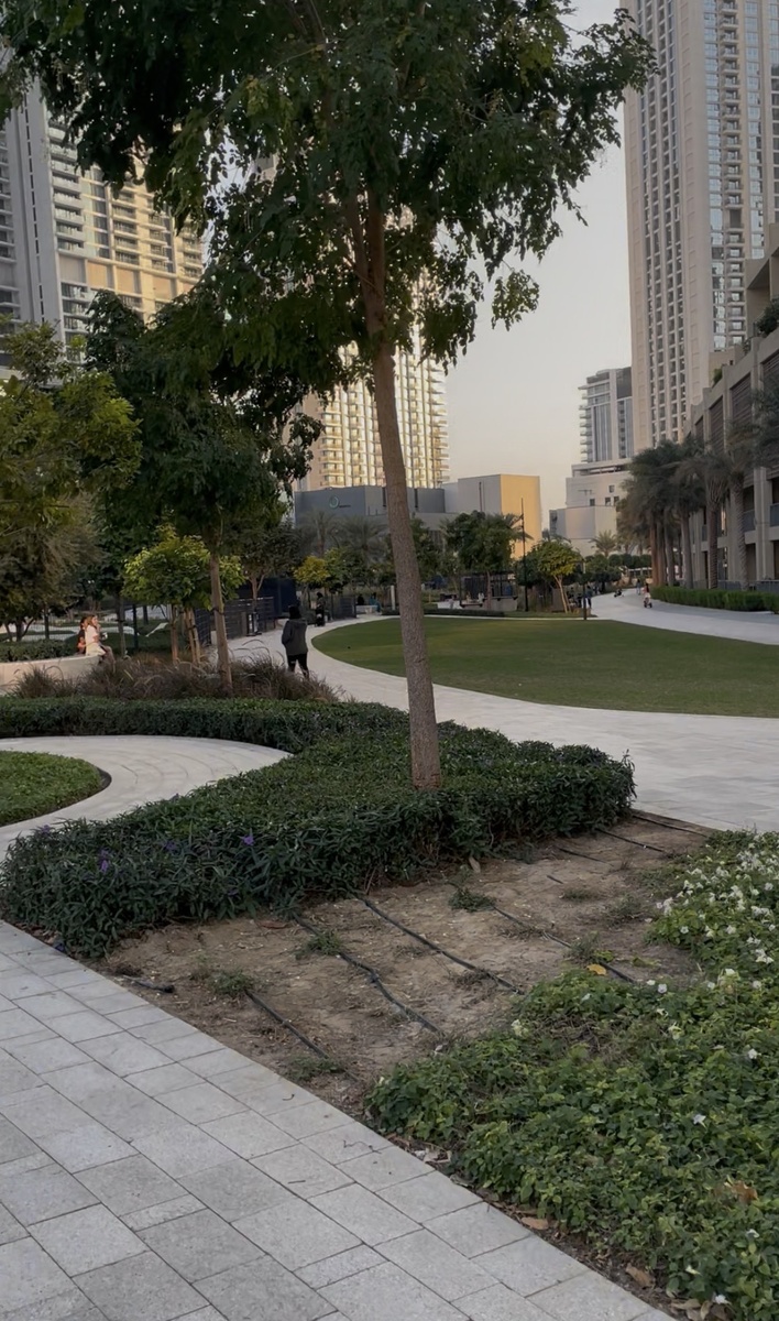 Капельный полив. Фото автора