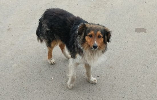    Фото: ИА «Орелград»