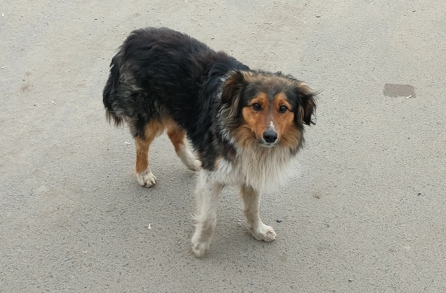    Фото: ИА «Орелград»