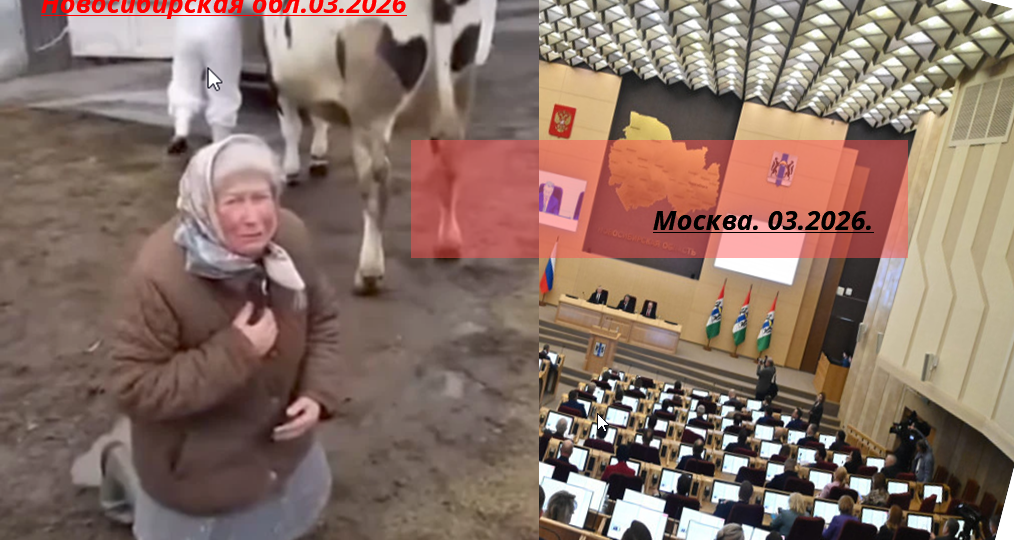 ОБРАЩЕНИЕ К ПРЕЗИДЕНТУ РОССИИ. Уважаемый Владимир Владимирович.